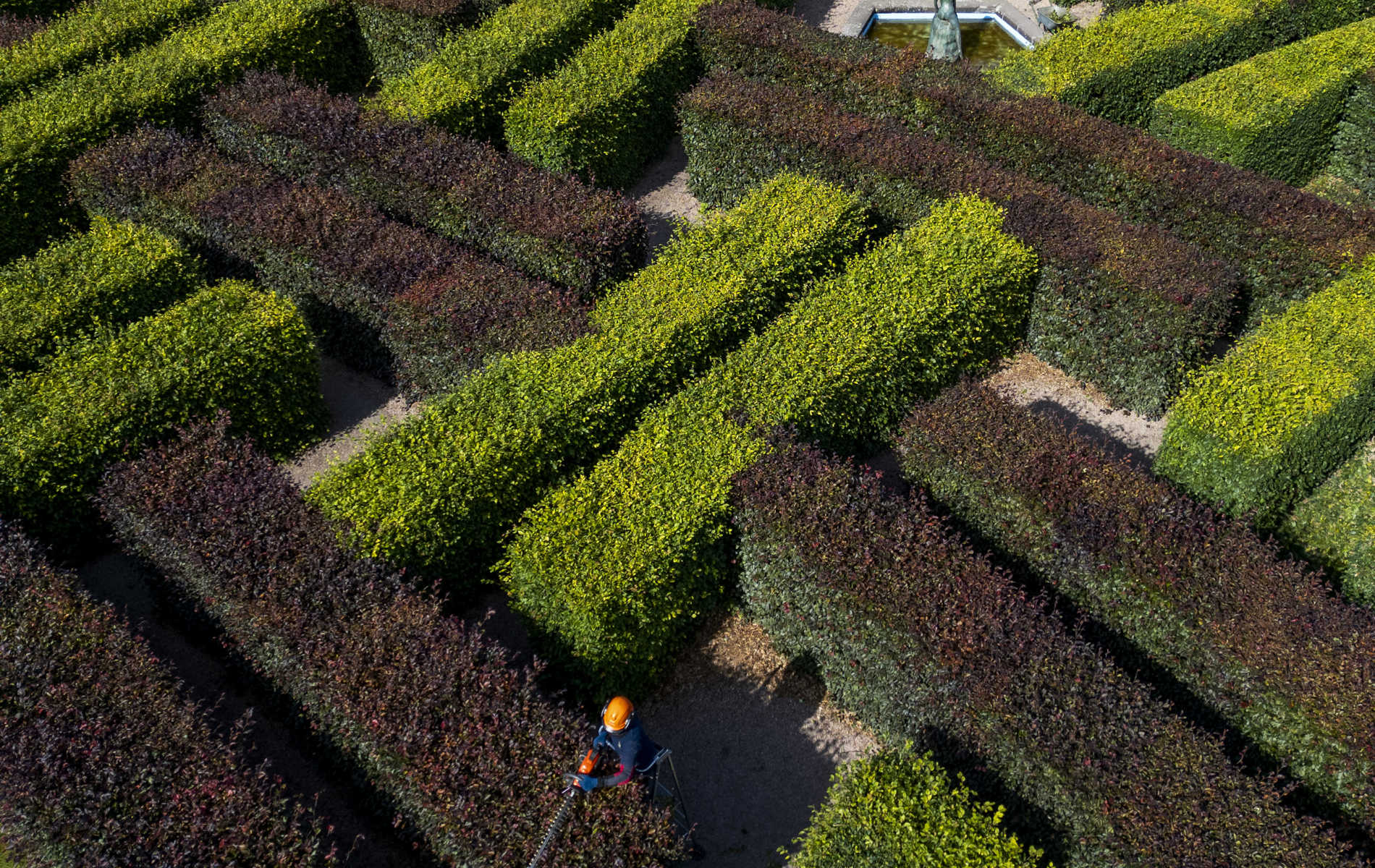 The Murray Star Maze at Scone Palace