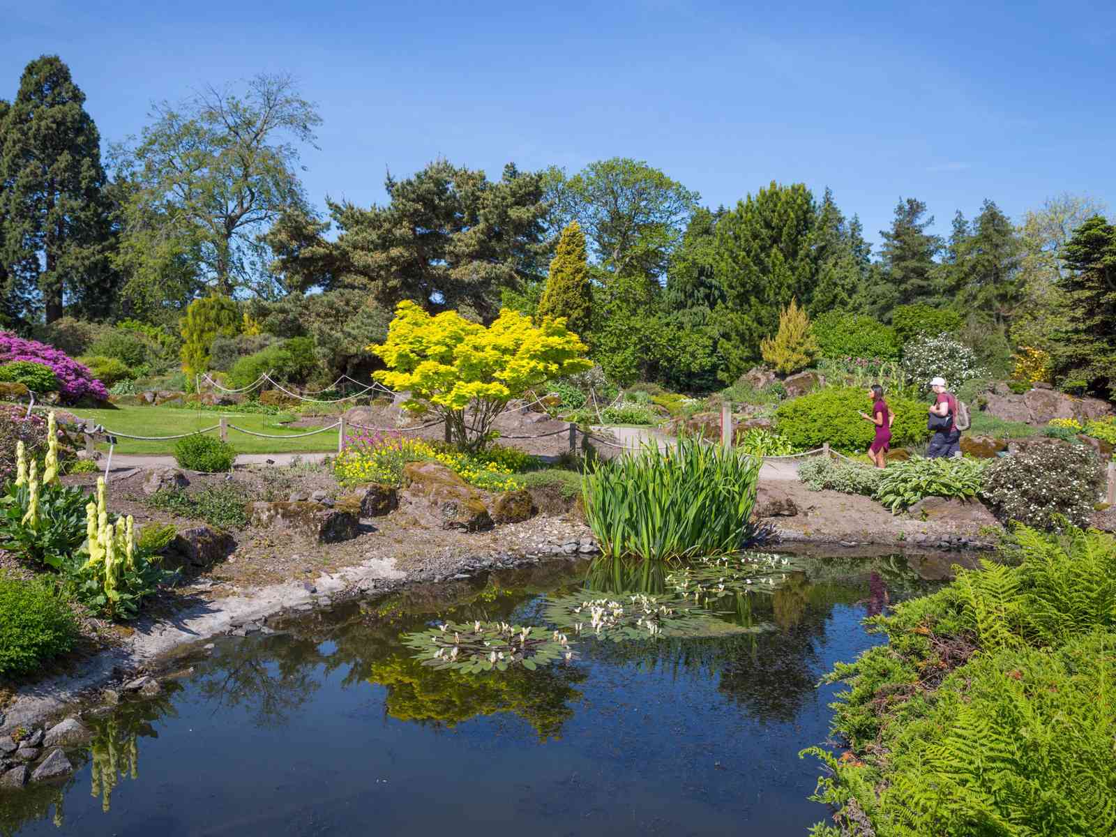 The Royal Botanic Garden Edinburgh