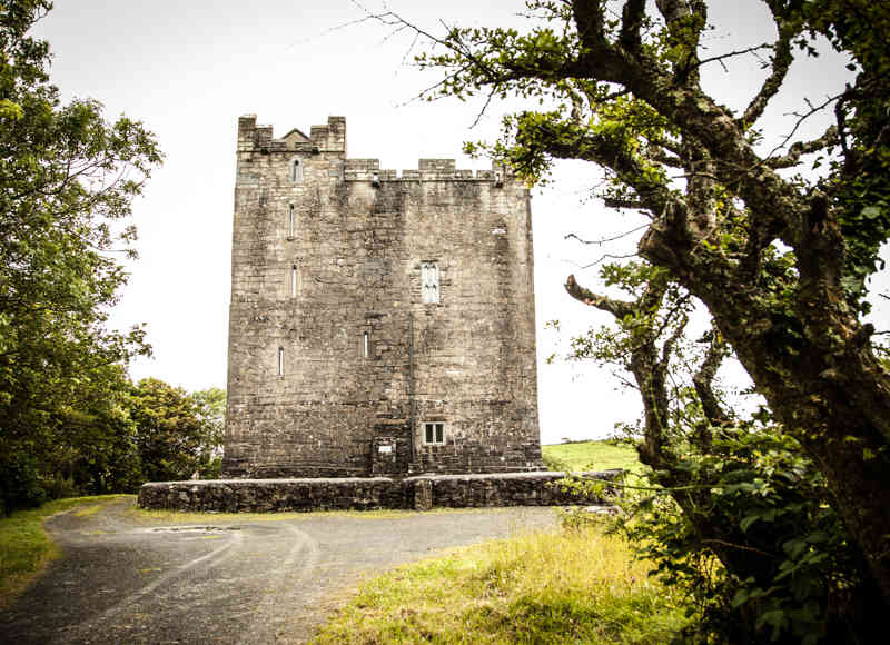 Ballynagowan Castle - Ballynagowan Castle
