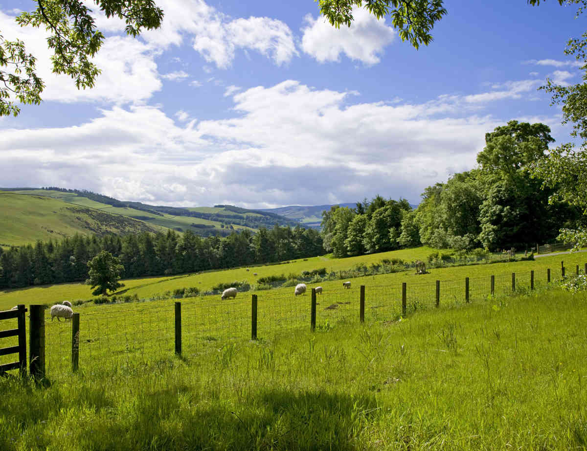 Cringletie Small Wedding Package 4