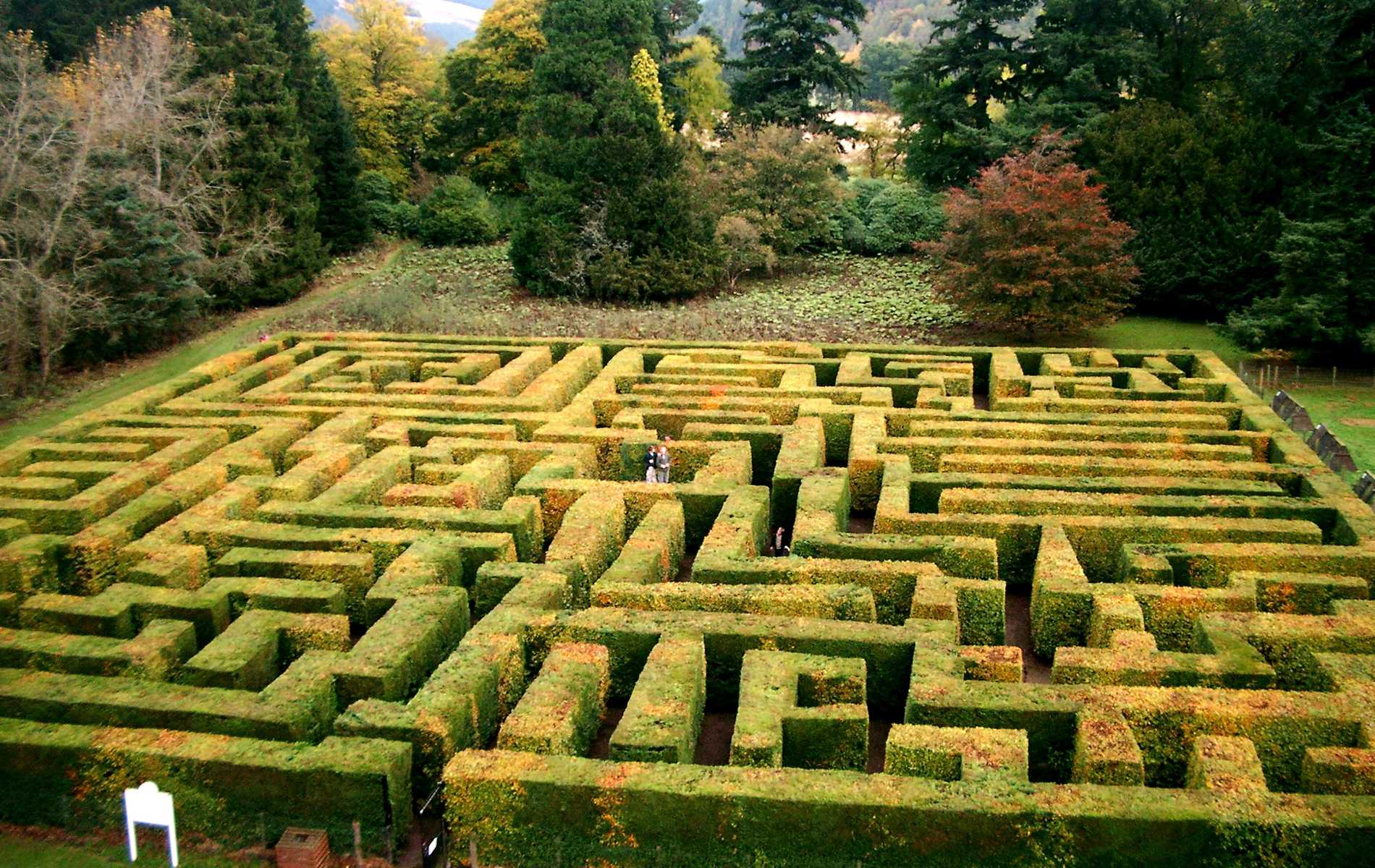 Traquair House Maze