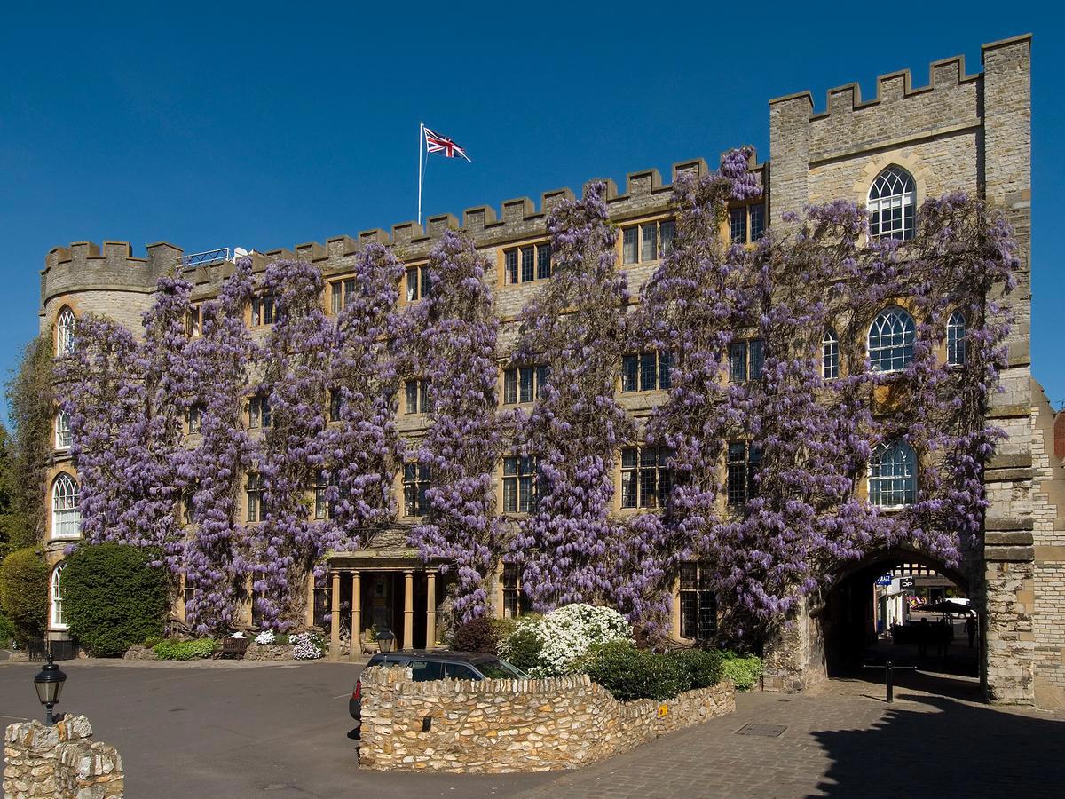 The Castle (Taunton)