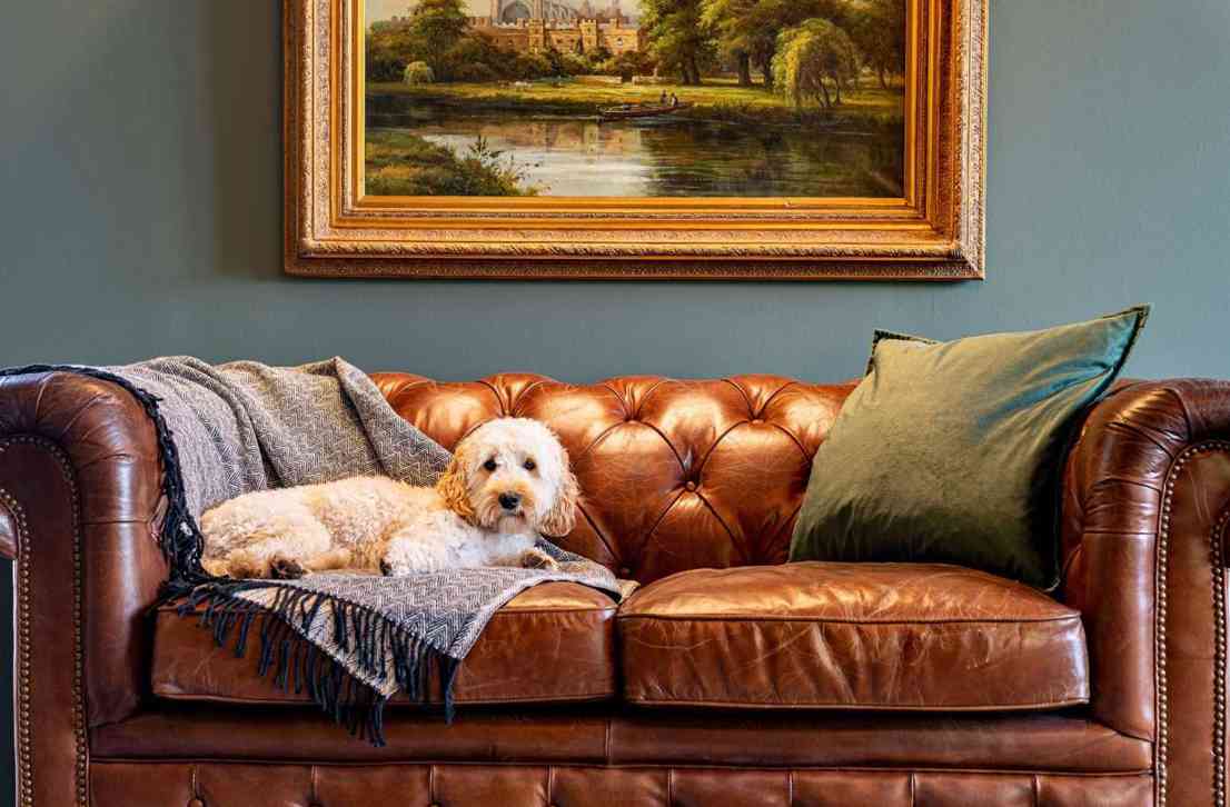 Our Favourite Dog-Friendly Castle Breaks