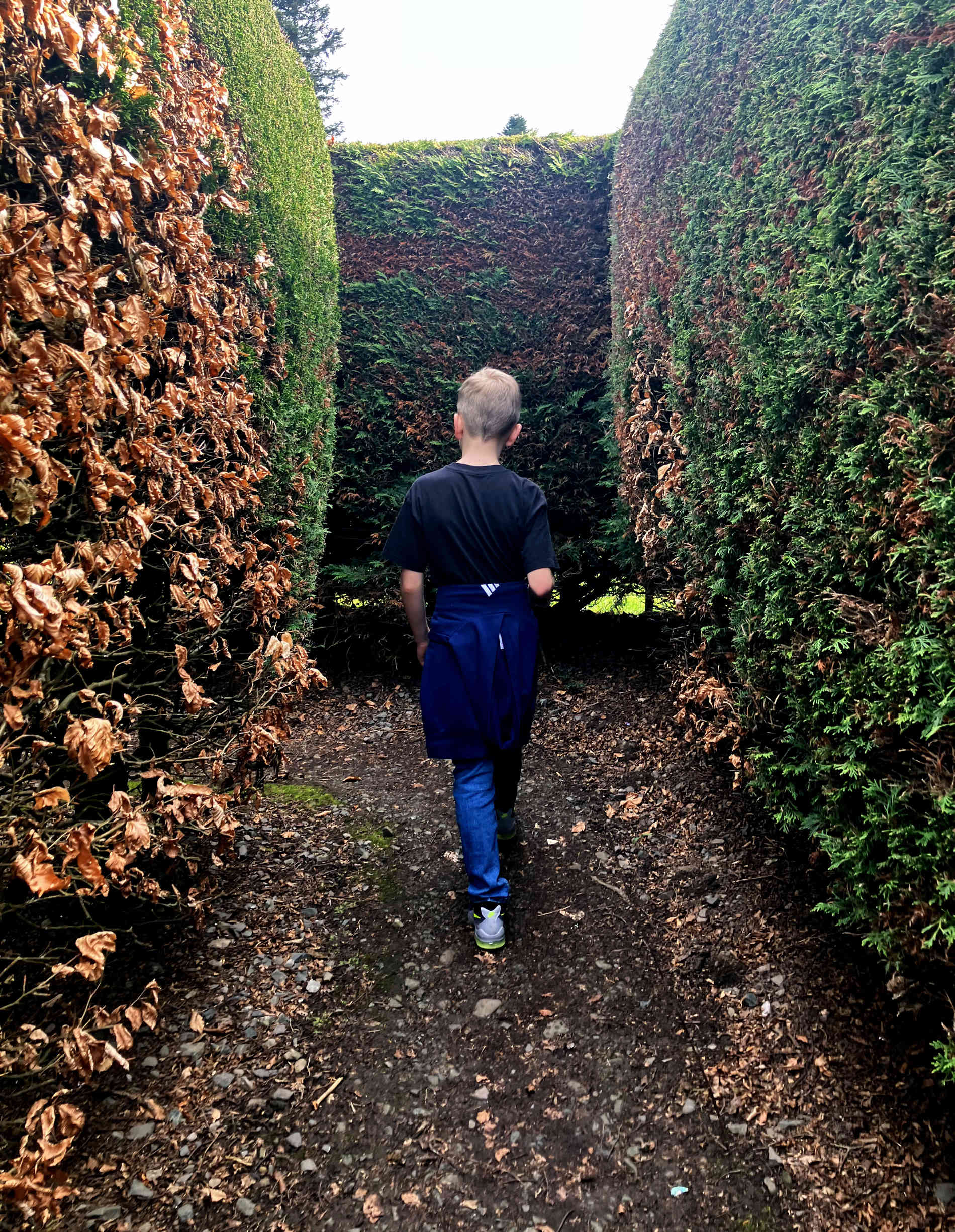 Exploring the Maze