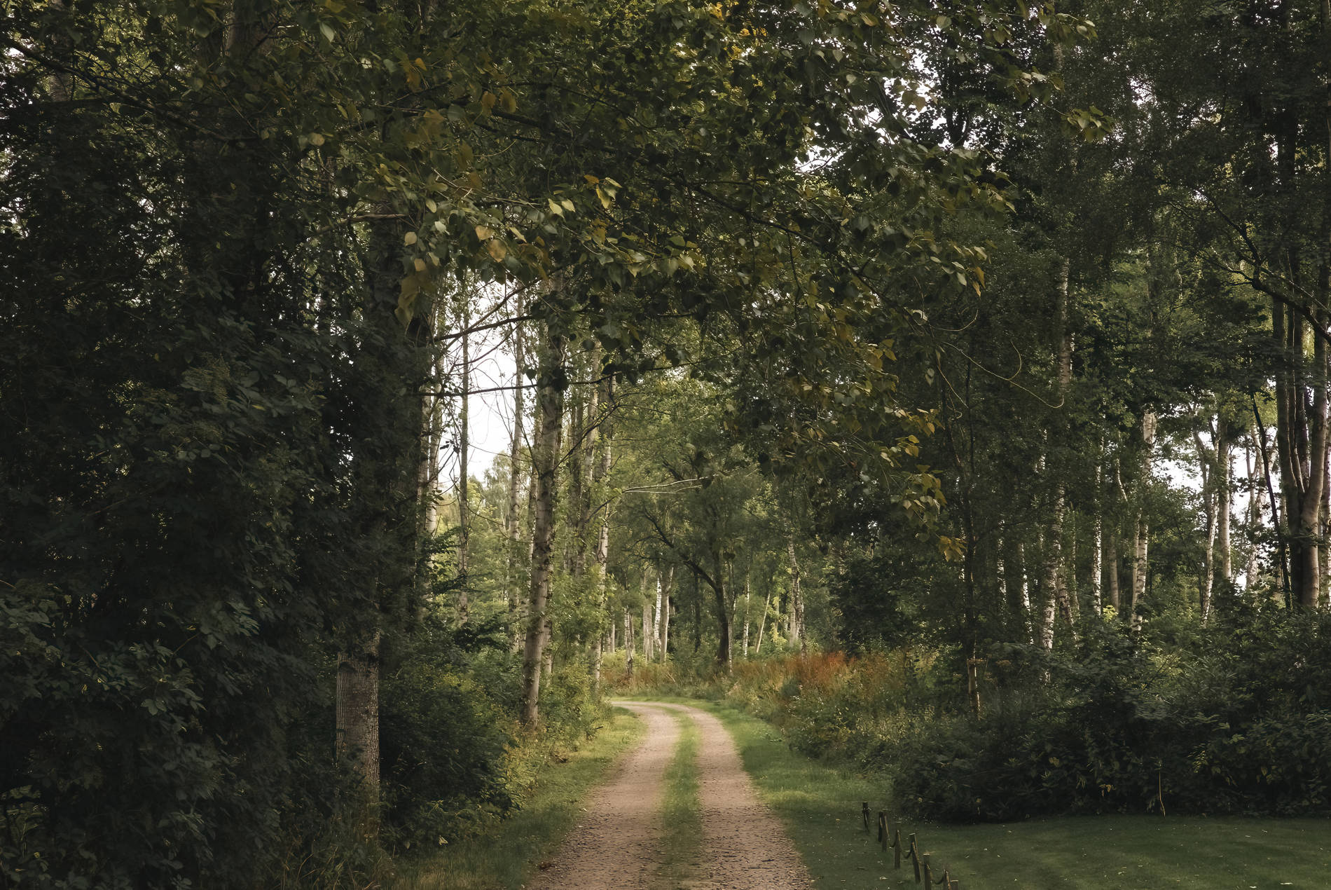 Peaceful Pace of Life