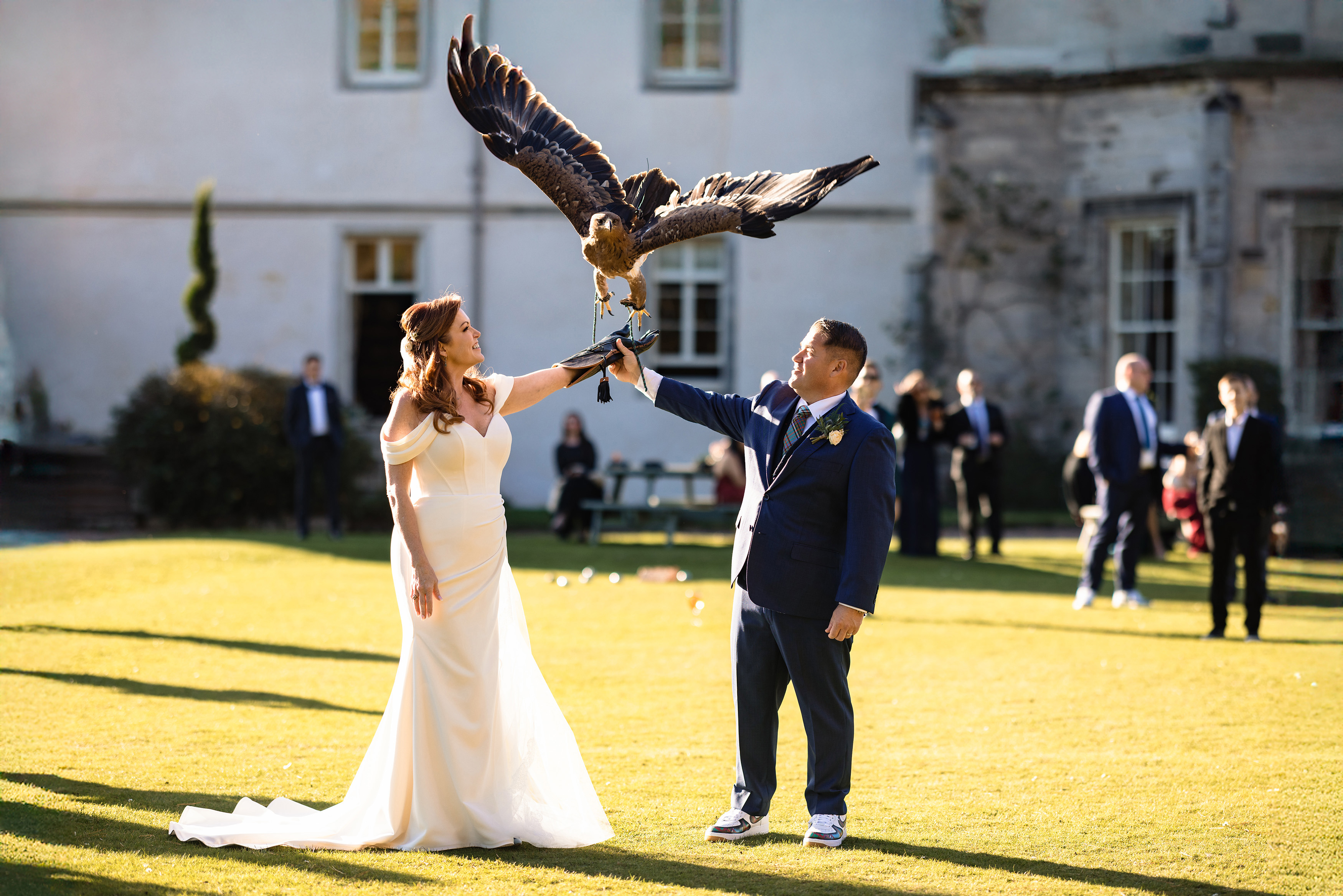 Falconry in the grounds