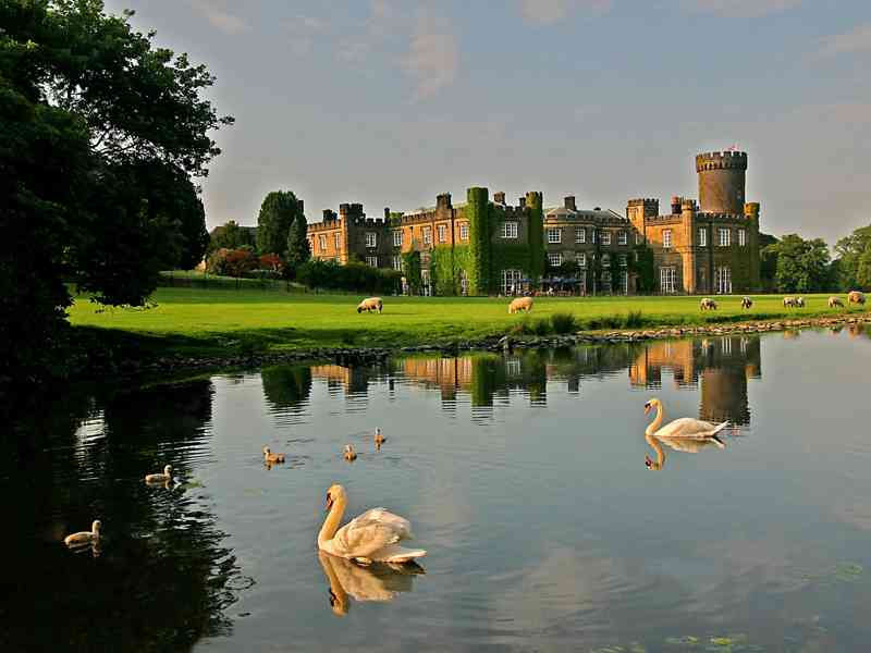 /media/img/e7ae105f-67ed-4d25-9772-30677d3ac596.jpg?width=800&height=600&quality=30