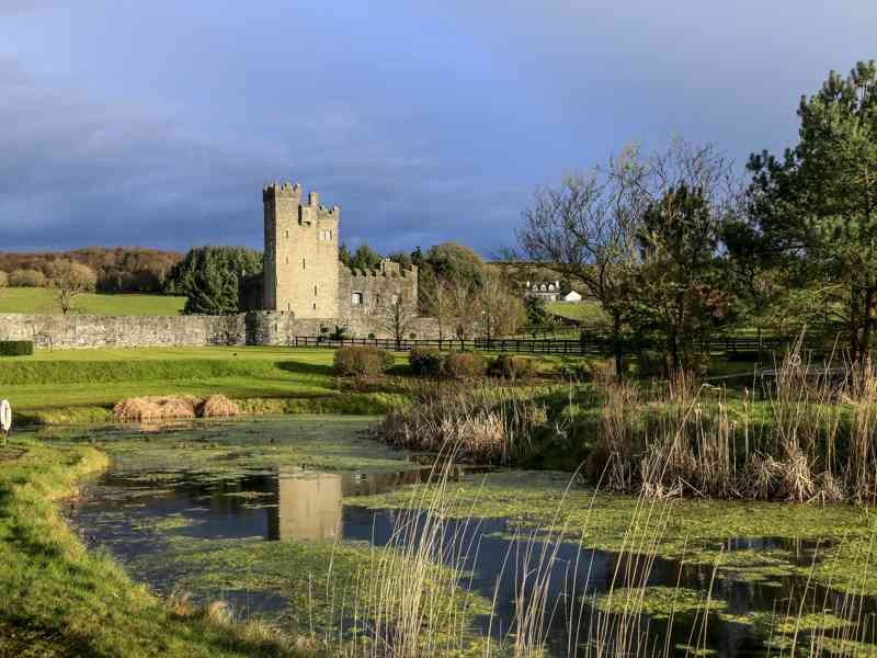 /media/img/f92f6d19-2ef7-48c5-bdfe-0d0d0536e702.jpg?width=800&height=600&quality=30